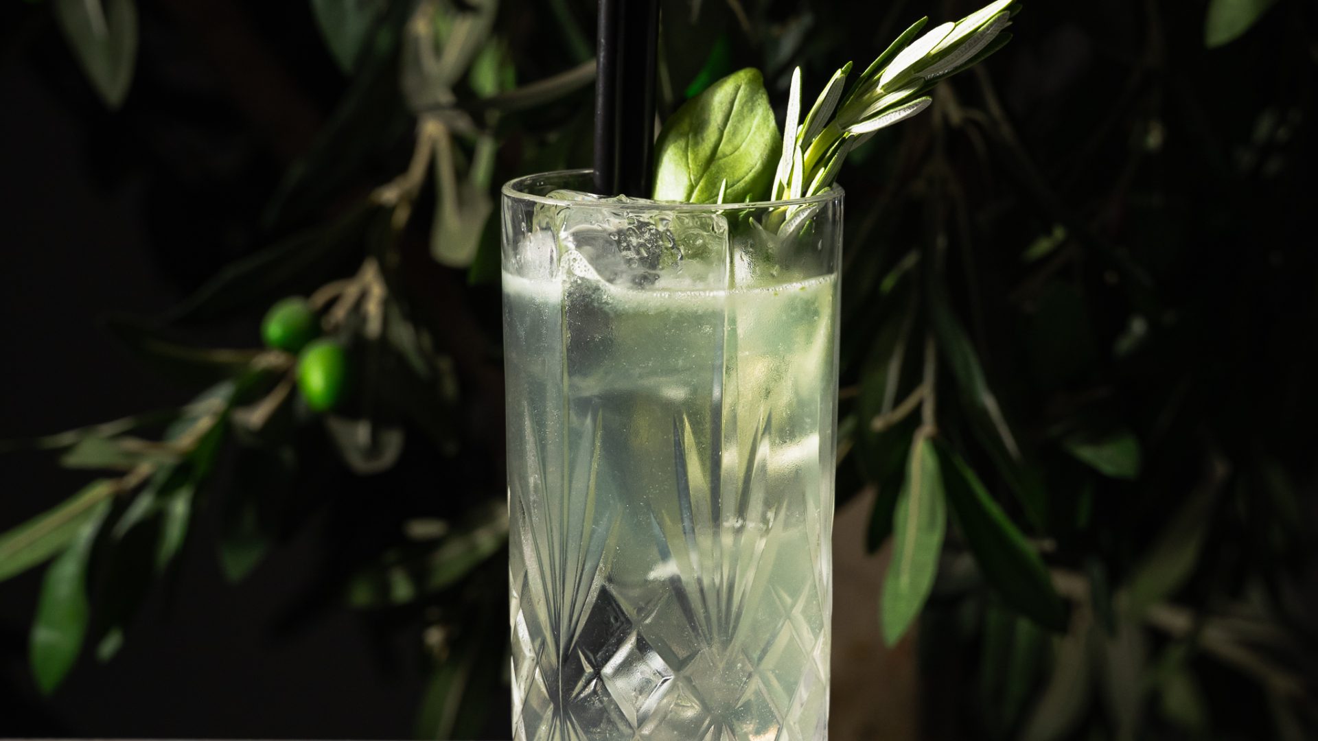 Drink Arya Garden Experience